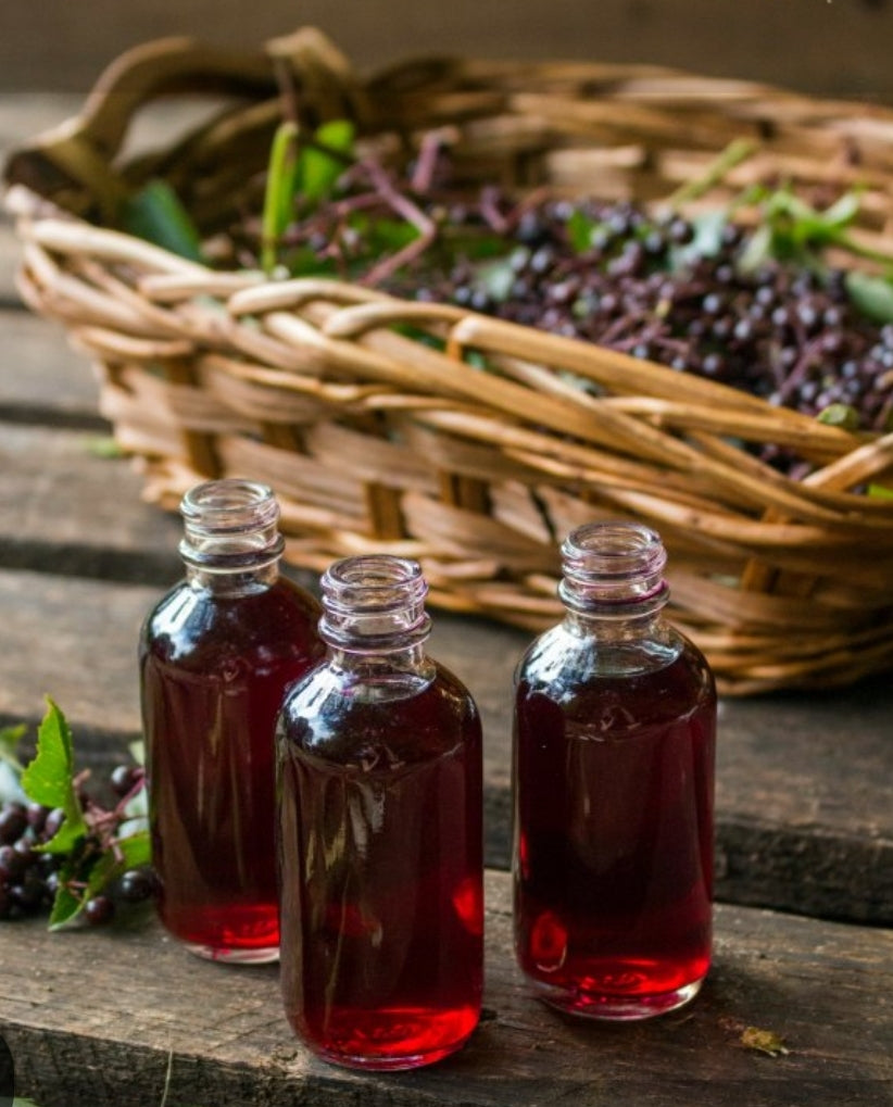Elderberry Extract 1oz